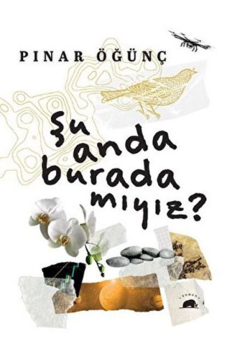 Şu Anda Burada Mıyız?