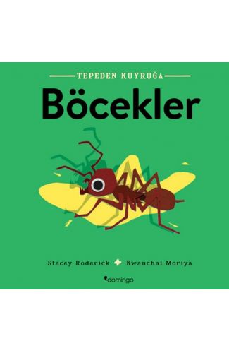 Tepeden Kuyruğa - Böcekler