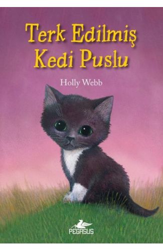 Terk Edilmiş Kedi Puslu