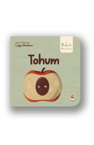 Tohum