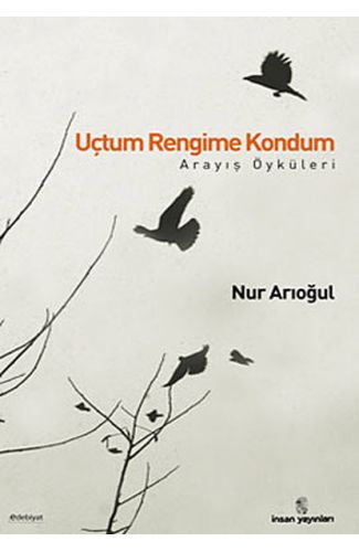Uçtum Rengime Kondum  Arayış Öyküleri