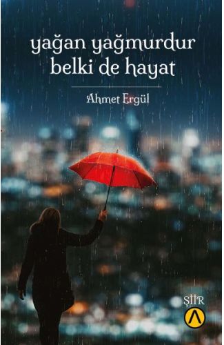 Yağan Yağmurdur Belki de Hayat