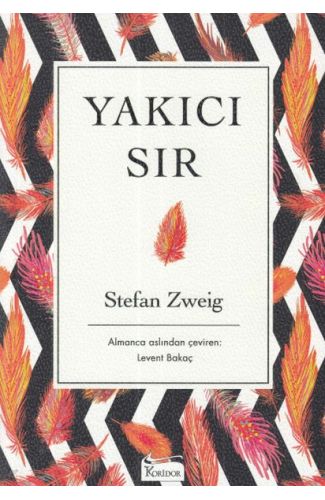 Yakıcı Sır - Ciltsiz