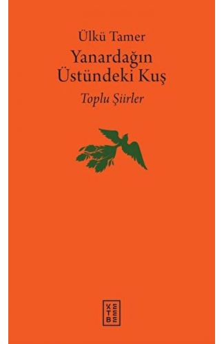Yanardağın Üstündeki Kuş