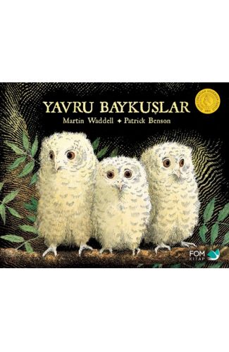 Yavru Baykuşlar