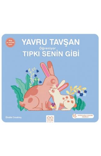 Yavru Tavşan Öğreniyor Tıpkı Senin Gibi