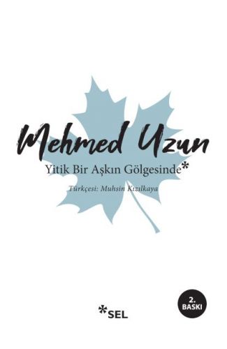 Yitik Bir Aşkın Gölgesinde