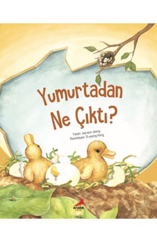 Yumurtadan Ne Çıktı?